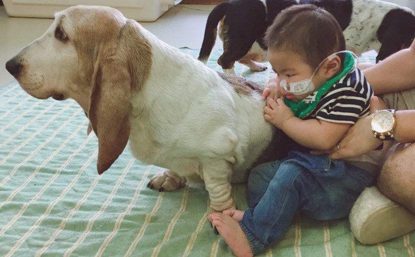 受傷から95日: 初外出でアニマルセラピー