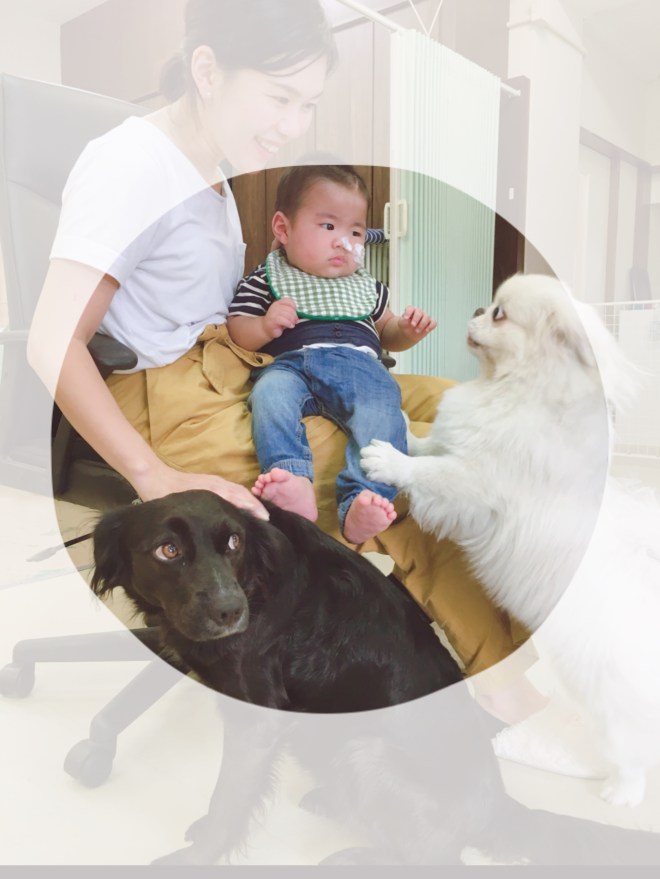 B2684F78-C354-4069-BEE5-ED3F008713F4