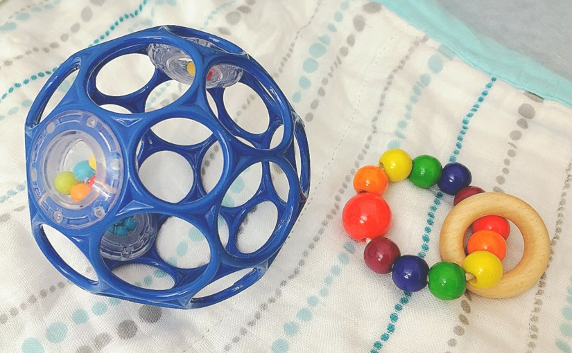 受傷から93日: お気に入りのおもちゃ