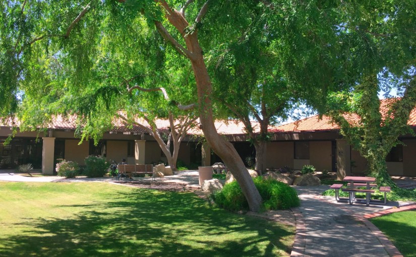 Movement Lesson#1: レッスンについて