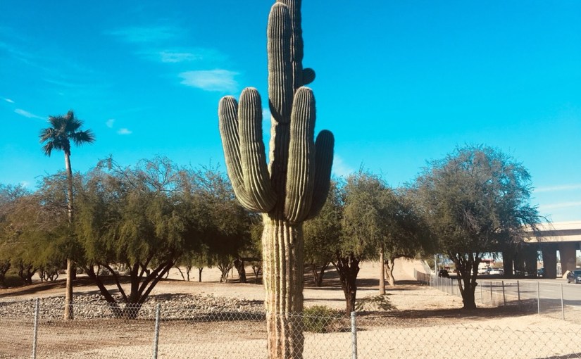 Movement Lesson#2: 集中レッスンの途中経過