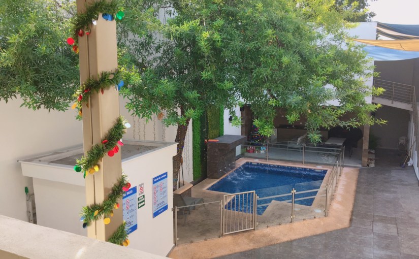 幹細胞治療#2: 前回と違っていたこと