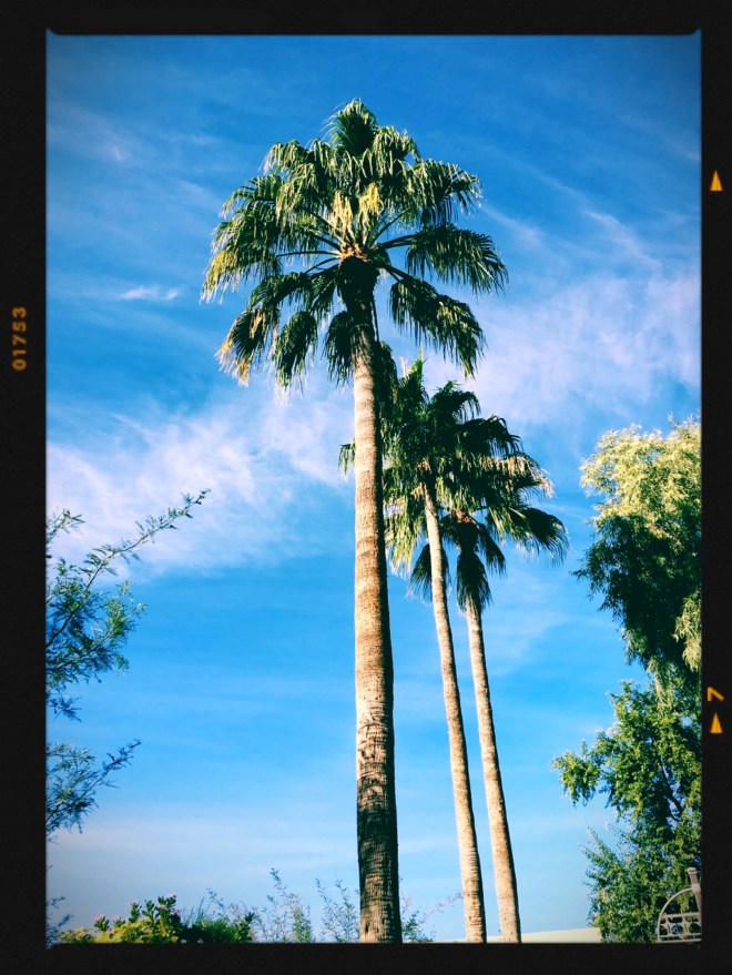 EA083D12-0855-4D75-B461-D743461A2CFB